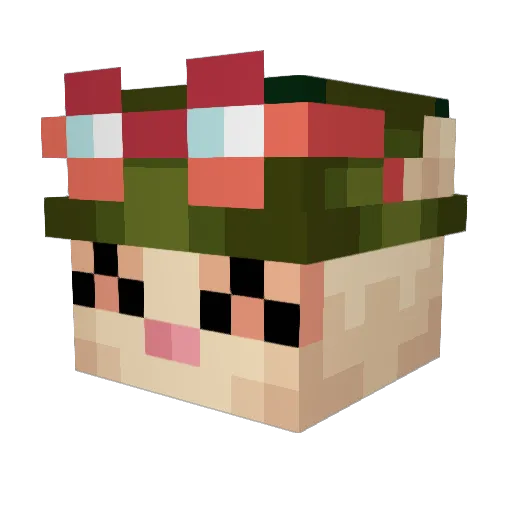 Sauergurke11 Minecraft avatar head, 3D render