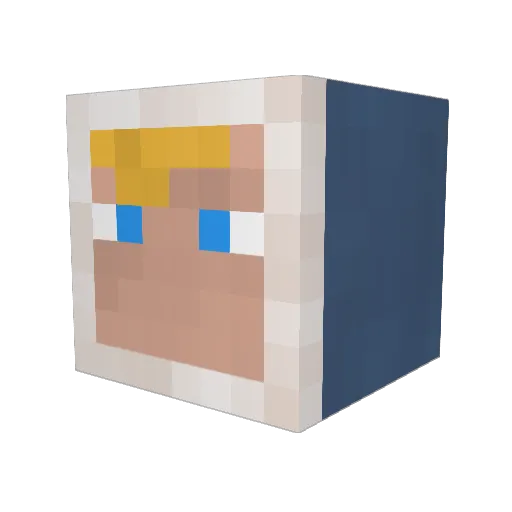Sauerkraut11 Minecraft avatar head, 3D render
