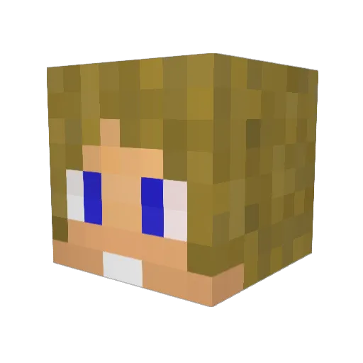 Saugiss Minecraft avatar head, 3D render