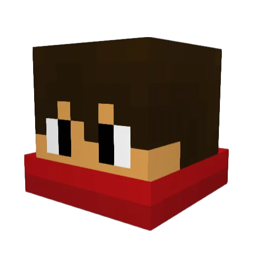 Saul9903 Minecraft avatar head, 3D render