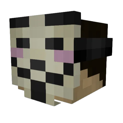 SaulTBahls Minecraft avatar head, 3D render