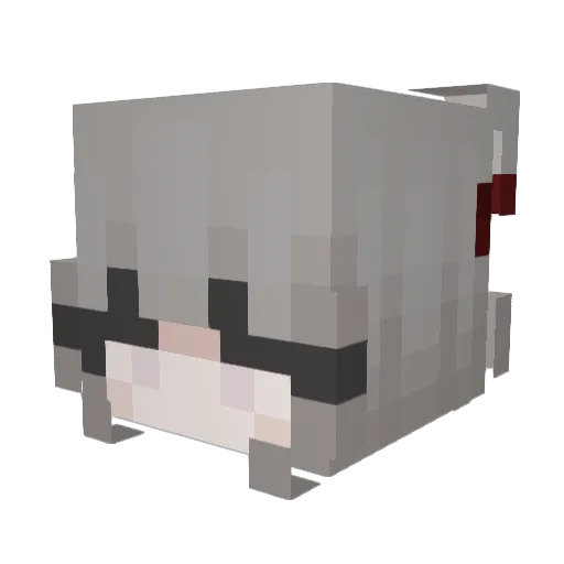 Saulespuke Minecraft avatar head, 3D render