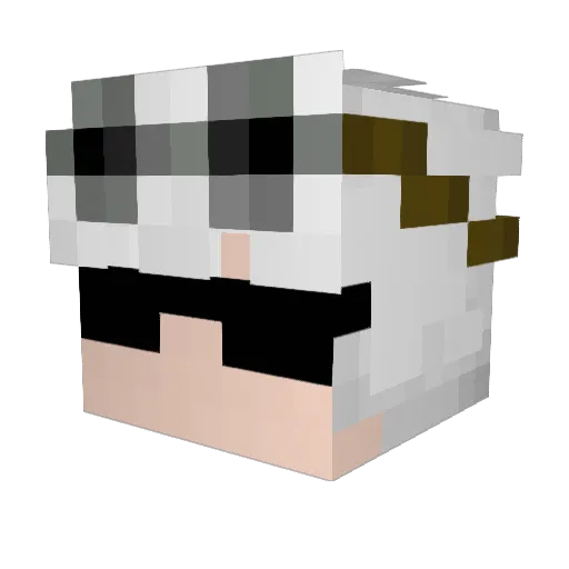 Saulikz Minecraft avatar head, 3D render