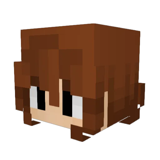 SaurerFuchs Minecraft avatar head, 3D render