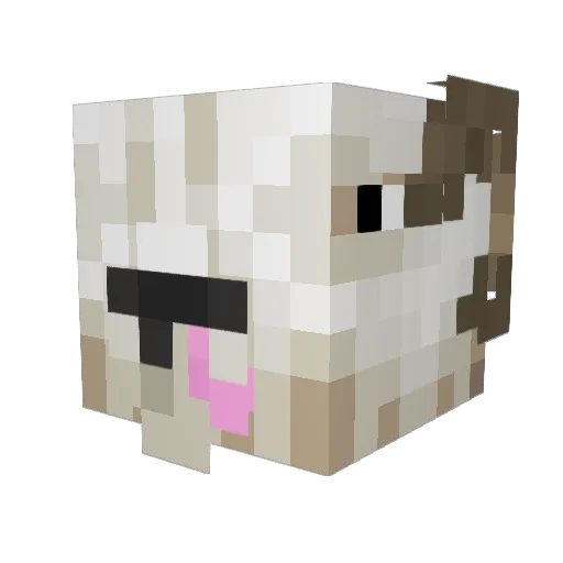 Sauri Minecraft avatar head, 3D render