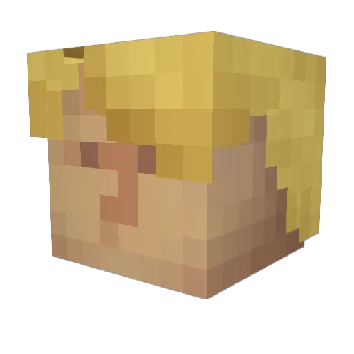 Saurith Minecraft avatar head, 3D render
