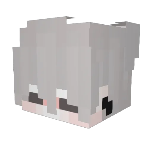 Sausage8120 Minecraft avatar head, 3D render