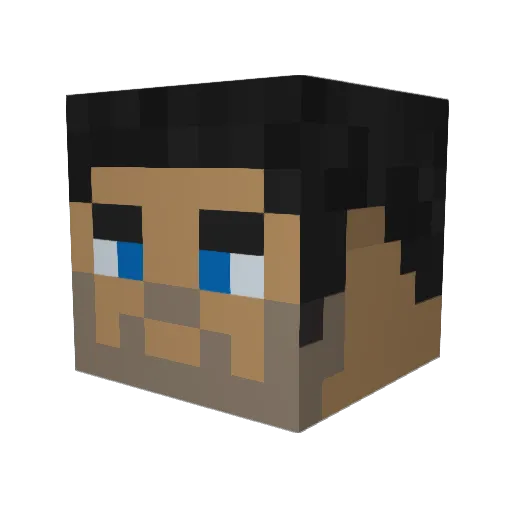 SausageArmy Minecraft avatar head, 3D render