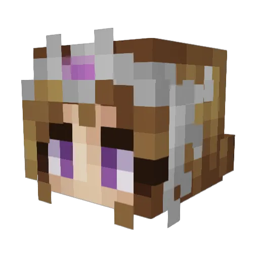 SausageMahony Minecraft avatar head, 3D render