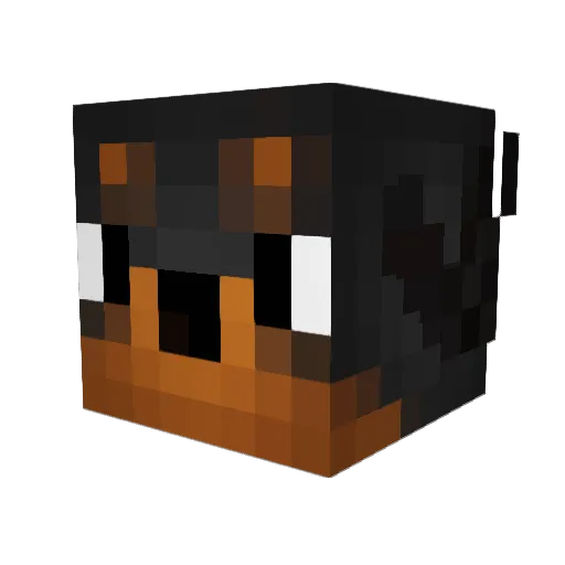 SausageRollR6 Minecraft avatar head, 3D render