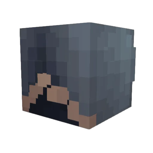 SauvezWilly Minecraft avatar head, 3D render