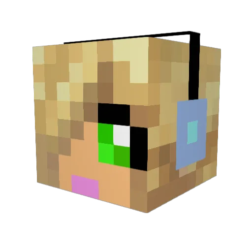 SavSeeb Minecraft avatar head, 3D render