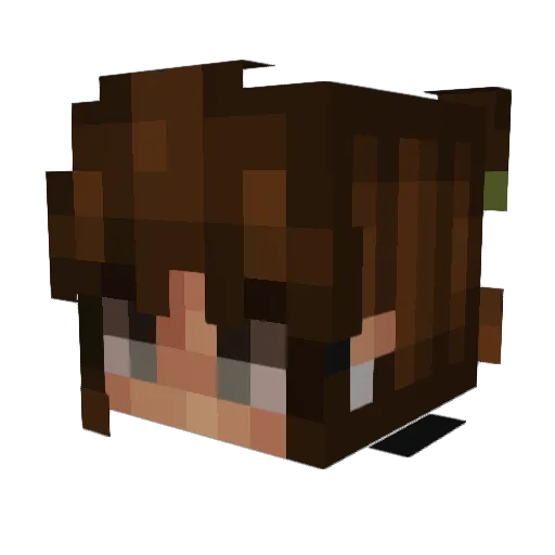 Sav_Fay Minecraft avatar head, 3D render