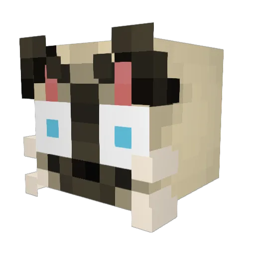 Sava_a Minecraft avatar head, 3D render