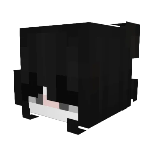 Savaageh Minecraft avatar head, 3D render