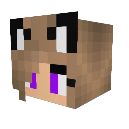 Savage420 Minecraft avatar head, 3D render