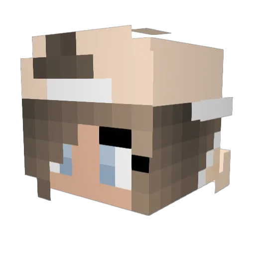 Savage470626 Minecraft avatar head, 3D render