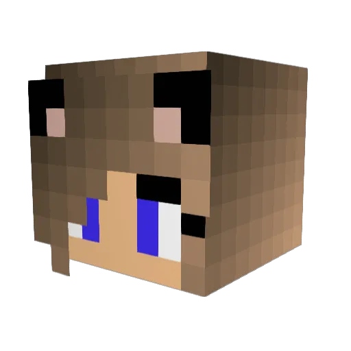 Savage924 Minecraft avatar head, 3D render