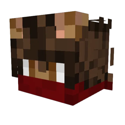 SavageHamster_ Minecraft avatar head, 3D render