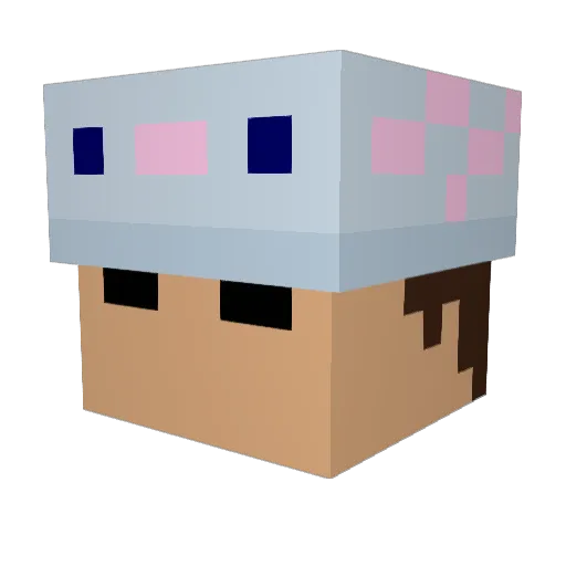 SavageLlamaaa Minecraft avatar head, 3D render