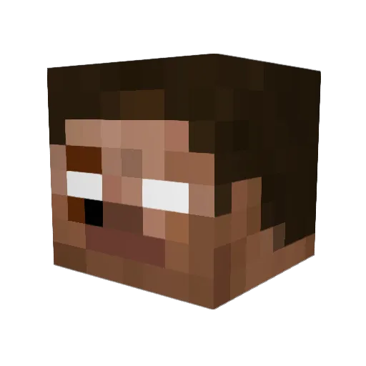SavageX14 Minecraft avatar head, 3D render