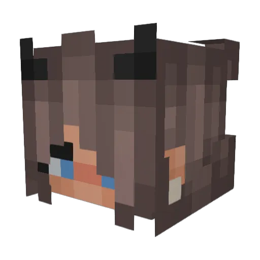 Savage_Flower Minecraft avatar head, 3D render
