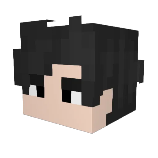 Savage_Red_Panda Minecraft avatar head, 3D render