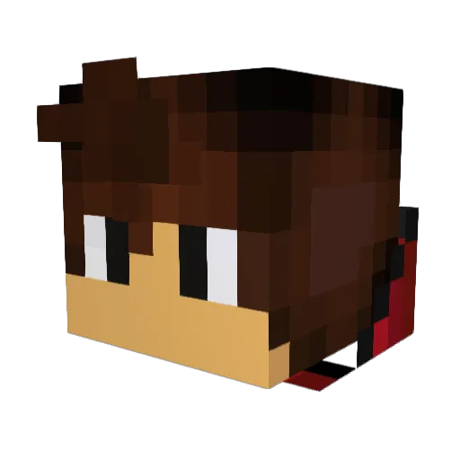 Savage_Taco18 Minecraft avatar head, 3D render