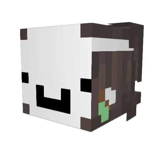 Savage_nugget_ Minecraft avatar head, 3D render