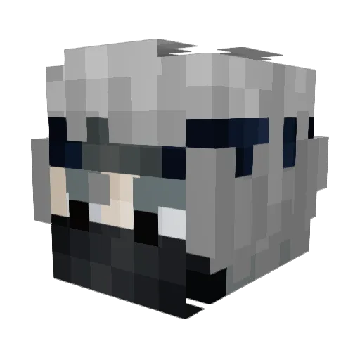 Savagemaster10 Minecraft avatar head, 3D render