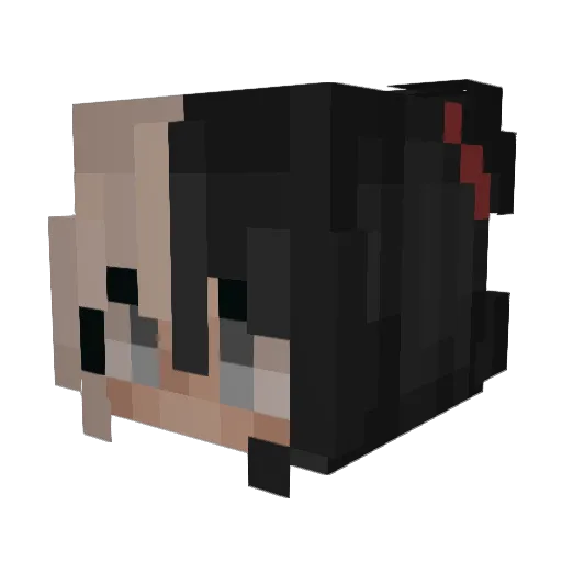 Savagewolf2200 Minecraft avatar head, 3D render