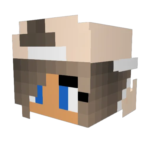 Savannah10 Minecraft avatar head, 3D render