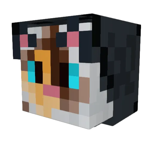 Savannah_Pillow Minecraft avatar head, 3D render