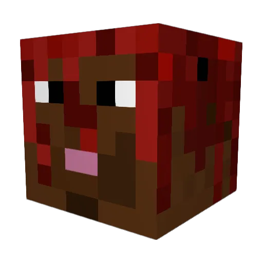 Savarien Minecraft avatar head, 3D render
