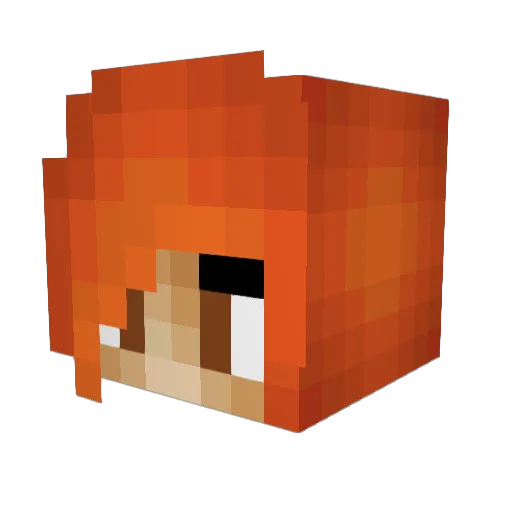 SaveMeBarry27 Minecraft avatar head, 3D render