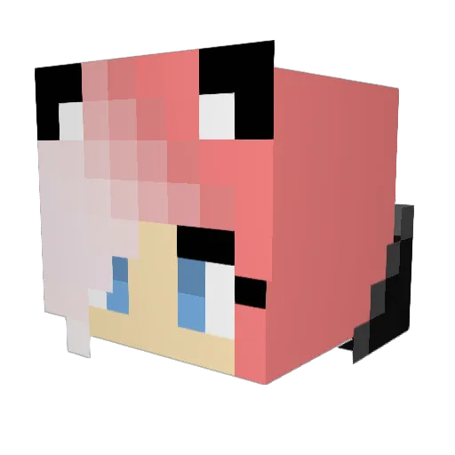 SaveMeYeezus Minecraft avatar head, 3D render