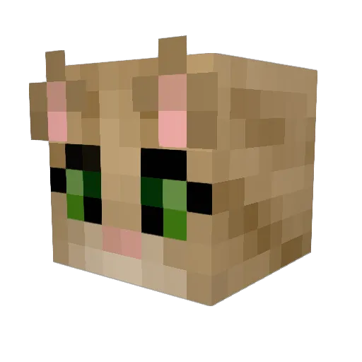 SaveTheBeez Minecraft avatar head, 3D render