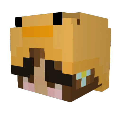 SaveTheDucks1223 Minecraft avatar head, 3D render