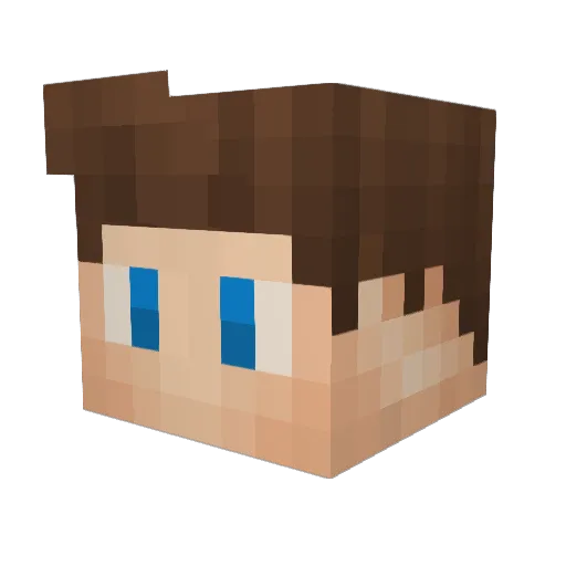 SaveTheJews Minecraft avatar head, 3D render