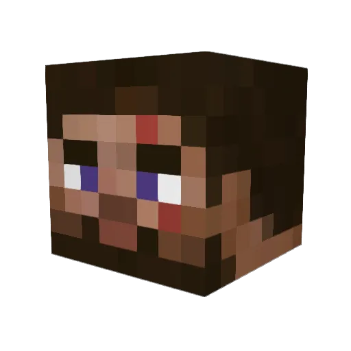 SaveTheJohnDoe Minecraft avatar head, 3D render