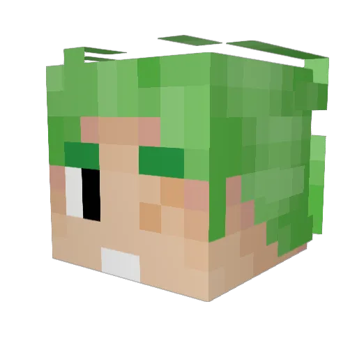SaveThePenguin Minecraft avatar head, 3D render