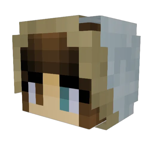 SaveTheWhales_ Minecraft avatar head, 3D render