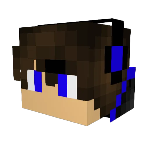 SaveWaterBro1042 Minecraft avatar head, 3D render