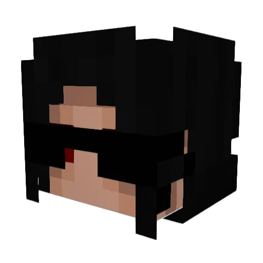 SaveWaterBro1205 Minecraft avatar head, 3D render
