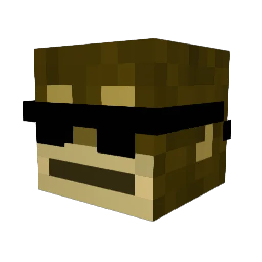 SaveWaterBro240 Minecraft avatar head, 3D render