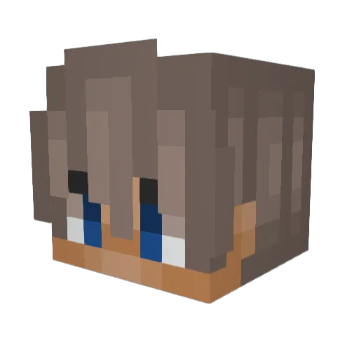 SaveWaterBro37 Minecraft avatar head, 3D render