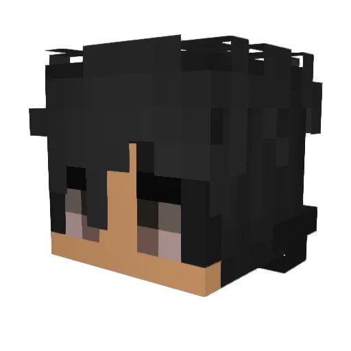 SaveWaterBroSpop Minecraft avatar head, 3D render