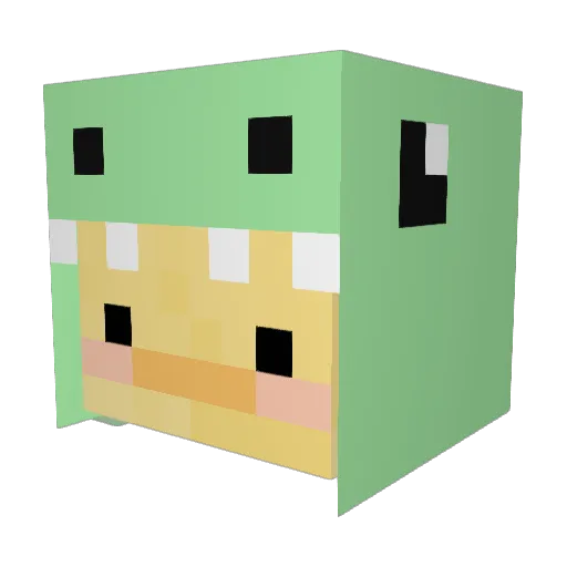 Save_The_HuHu Minecraft avatar head, 3D render