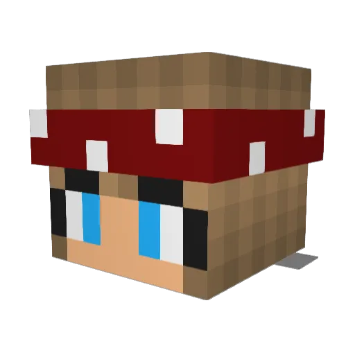 Save_the_Day Minecraft avatar head, 3D render