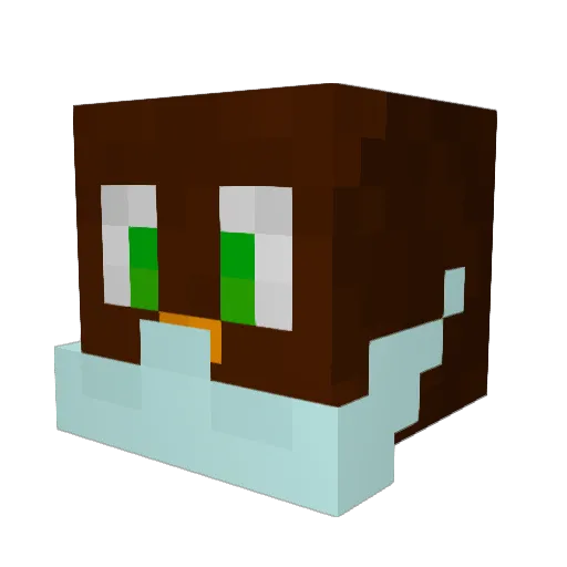 Savercraft10006 Minecraft avatar head, 3D render
